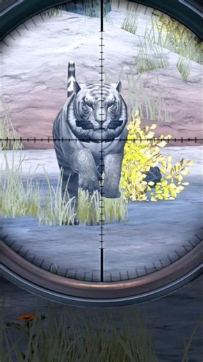 Amazing White Tiger 🐅 Hunting Adventure | Epic Jungle Survival | Realistic Gameplay
