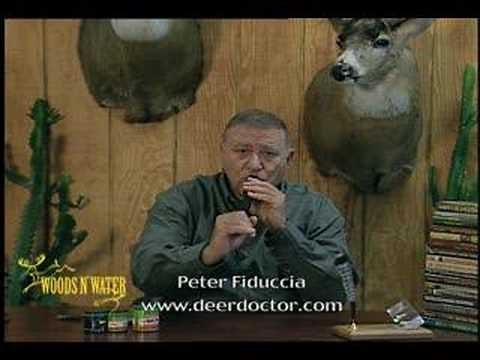 Deer Calling Tips: Tending Grunt Sequence