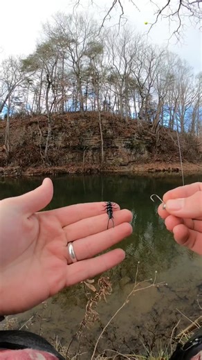 Discover the Best Fishing Lure for Successful Angling