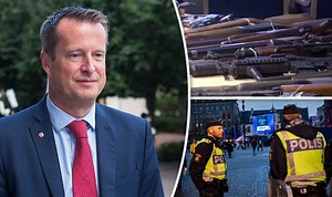 Malmo police confiscate over 200 firearms annually