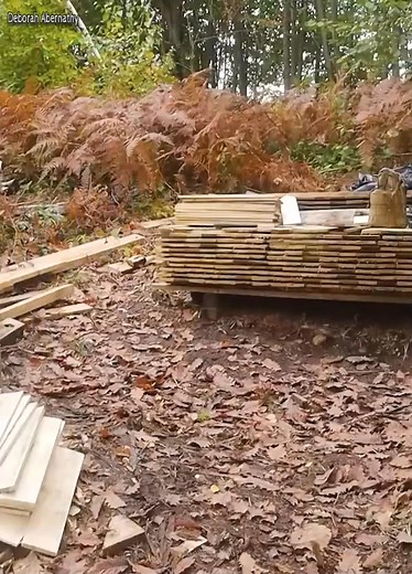 28K views · 484 reactions | Building a house in the forest walls and roof completed | Deborah Abernathy | Facebook