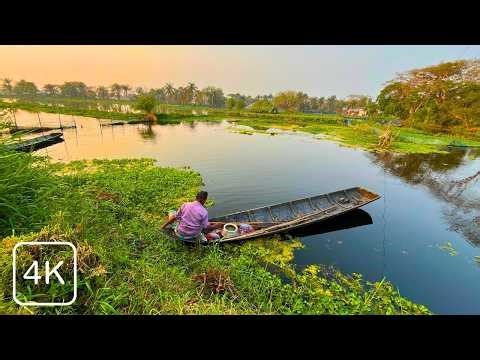 Rural Bangladesh Village Life | Peaceful Nature Scenery, Farming Life & Countryside Beauty 4K