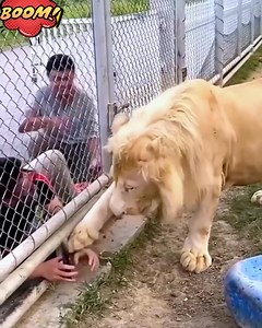 2.3M views · 8.3K reactions | Rare Moments With Accidentally Caught Animals | Furry Nation | Facebook