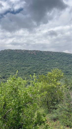 @Handre I am currently deep in the mountains Very far from the village I can tell you that I am sending this video with a very good network connection…In simple terms we have good network we don’t want starlink you can keep your satellite 📡