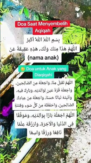 Doa Aqiqah