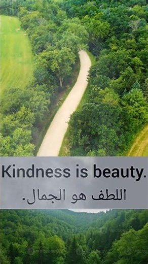 ALL the Arabic Basics You Need - Improve your Arabic