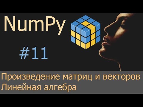 #11. Произведение матриц и векторов, элементы линейной алгебры | NumPy уроки
