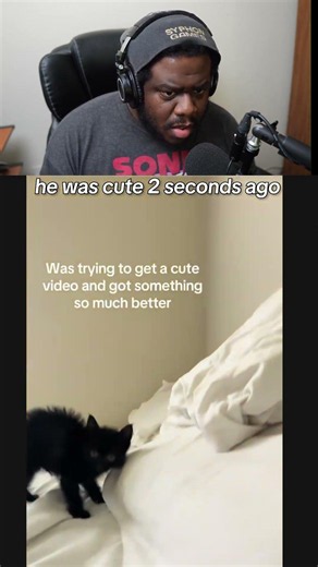 bro turned into a hairball