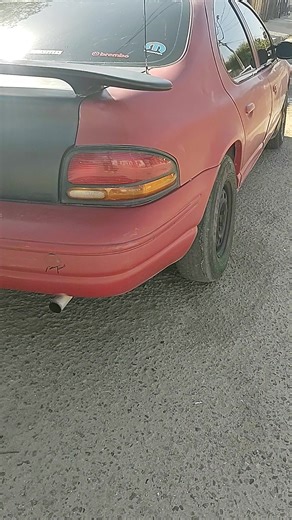 Perro, traes las masas a la fiesta