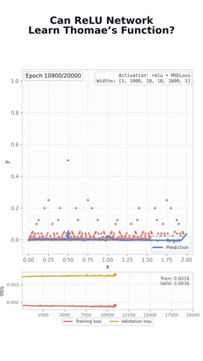 Can a ReLU Network Approximate Thomae’s Function?