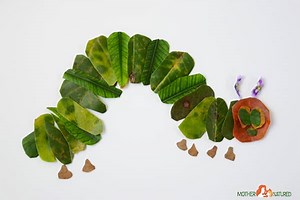 The Very Hungry Caterpillar Nature Craft - Mother Natured