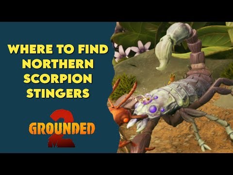 Where to find northern scorpion stingers (EASY METHOD) in Grounded 2