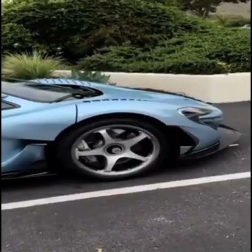 song: BIRDS FUNK: #caredit