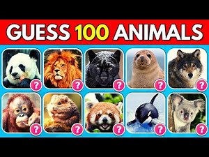 Guess 100 Animals in 3 Seconds 🦁 | Animal Quiz 🐶