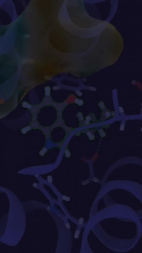 Estructura del receptor de serotonina 5-HT2A con psilocina