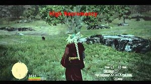 Dragon's Dogma All Sorcerer Skills