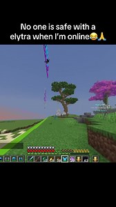 Free ely’s 😩 #cpvp #minecraftpvp #minecraft #donutsmp #memethief69 | elytra minecraft