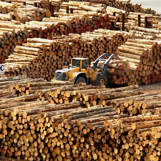 788K views · 10K reactions | This casino robbery was a CRAZY family affair!  Don't miss a new #HustlersGamblersCrooks TONIGHT at 10P on Discovery. | Discovery | Facebook