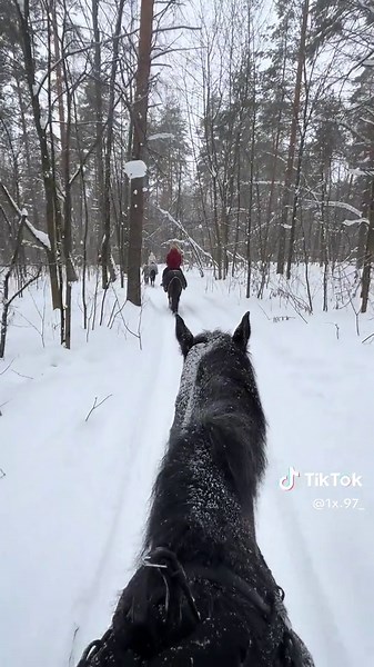 Winter in Moscow: A Journey Through the Snowy Capital