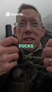 Duck Hunting. Stalking Mallards & The Mystery Duck