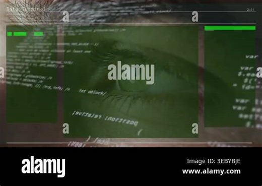 Man gazing while Data Terminal fading in, overlaying scrolling code on eye, monitoring tech metrics. Neon, cyberpunk, retro, closeup, interface, glow, green Stock Video Footage - Alamy