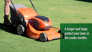 24K views · 65 reactions | Here's some things you can do (and what you shouldn't do) to help your lawn through winter. | Lawn Solutions Australia | Facebook