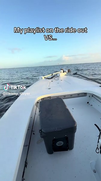 Exploring the Everglades: A Journey on the Water