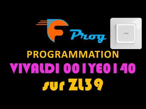 VIVALDI Monotouch 001YE0140 wall-mounted transmitter on CAME ZL39 rising barrier