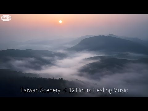 音樂風景陪你一整天｜清晨霧山到午後海岸 Taiwan Scenery × 12 Hours Healing Music