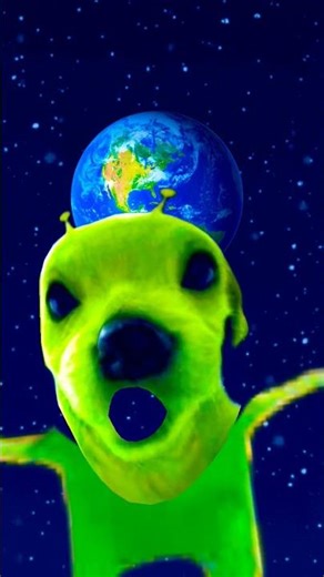 alien doggo #funny