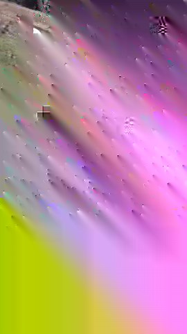 3.4M views · 44K reactions | Tiny Twins Walk to Their First Day of School 凉 | Lessons Learned In Life | Facebook