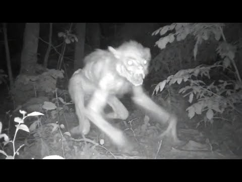 Terrifying Creatures Caught On Camera No One Can Explain
