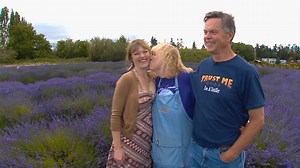 Artisanal lavender soothes the soul in Sequim - the Lavender Capital of North America