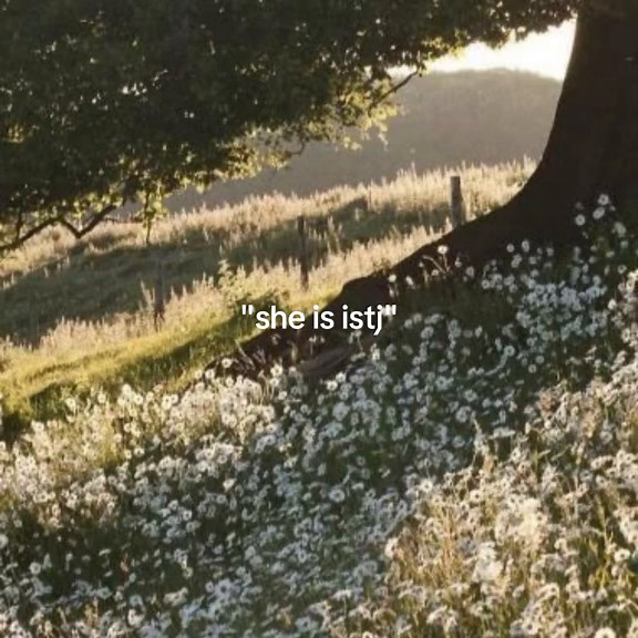 Understanding the ISTJ Personality Type: Traits and Characteristics