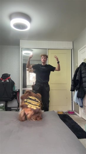 Happy Friday Dancing Dog Vibes