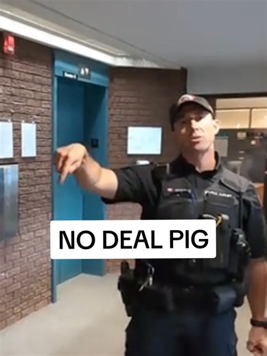 Understanding Police Accountability Through Audits