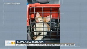 Homem é preso suspeito de maus-tratos contra cachorro e gato, em Goiânia