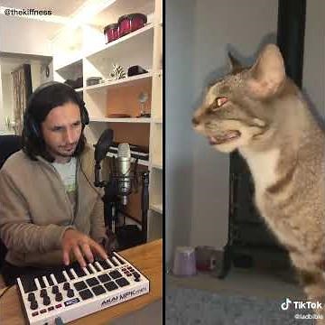 The Kiffness X Sneeze Cat - Blinding Sneeze (The Weeknd - Blinding Lights Cover)