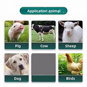 [Hot Item] Amitraz Solution 12.5% Mites Fleas Veterinary Insecticide Ectoparasiticide