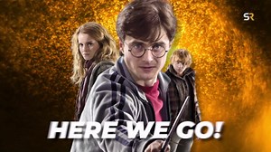 Harry Potter 8 Plot Theory