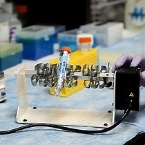 Improved LRET Method for Membrane Proteins | JoVE Journal