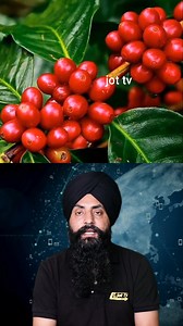 Mango Magic: Discover the Incredible Health Benefits #MangoBenefits #Superfood #Nutrition | Jot Tv Media