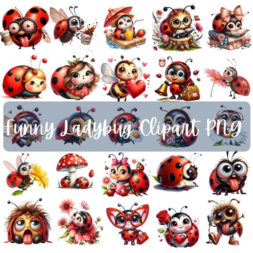 Funny Ladybug Clipart PNG Bundle, Cartoon Insect (digital Download) - Etsy