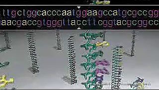 DNA芯片和微阵列介绍.product.bio1000.com