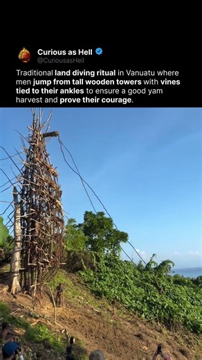 Ancient Land Diving Ritual 🏝️