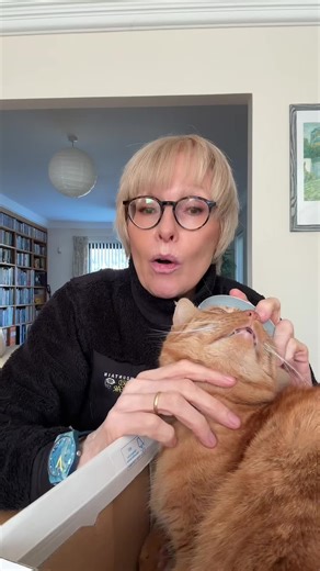 Understanding Wizzy's Cat Food Dilemma