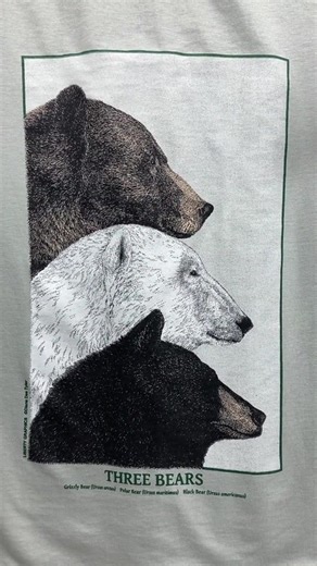 Exploring the Printing Process of Bear-Themed T-Shirts