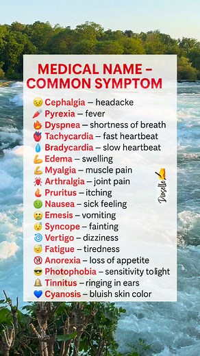 7.2K views · 42 reactions | Medical words can sound scary — but they often mean something simple! Learn these terms so you’ll never feel lost during a doctor visit. 喙” #MedicalEducation #healtheducation #medicalterminology #bodyhealth #fblifestyle | Dioselle Iniba | Facebook