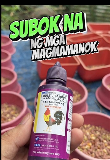 Replying to @Jon subok na talaga boss ng mga magmamanok! Tatak LDI pa yan #gamefowl #laktamino #ldi #multivitamins #conditioning
