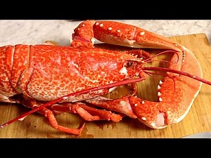 How to Cook Lobster and Crab - Easy Recipes and Wine Pairing Tips